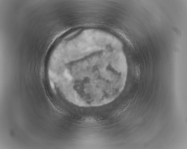 X0000115160588200912081410