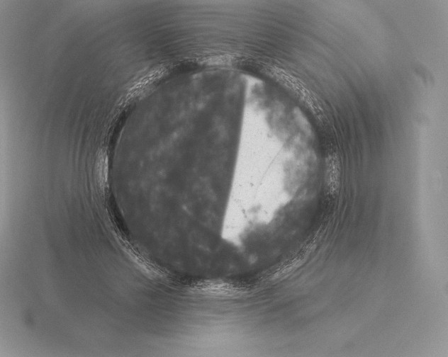 X0000115160589200912081410