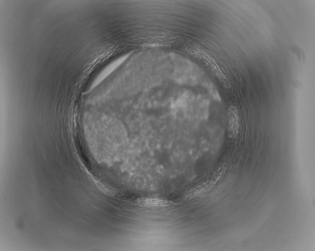 X0000115160590200912081410