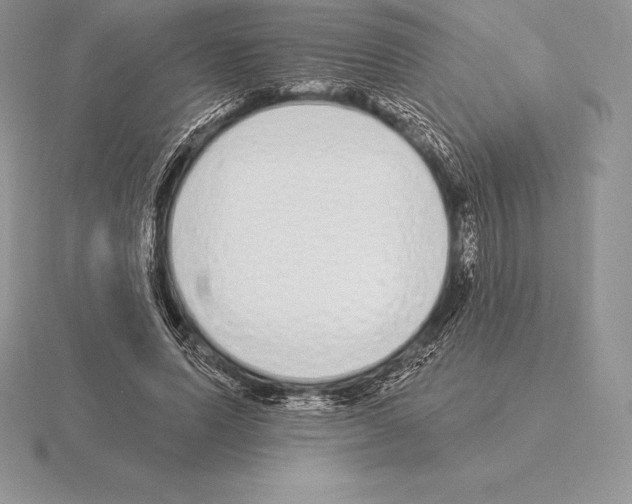 X0000115160591200912081410