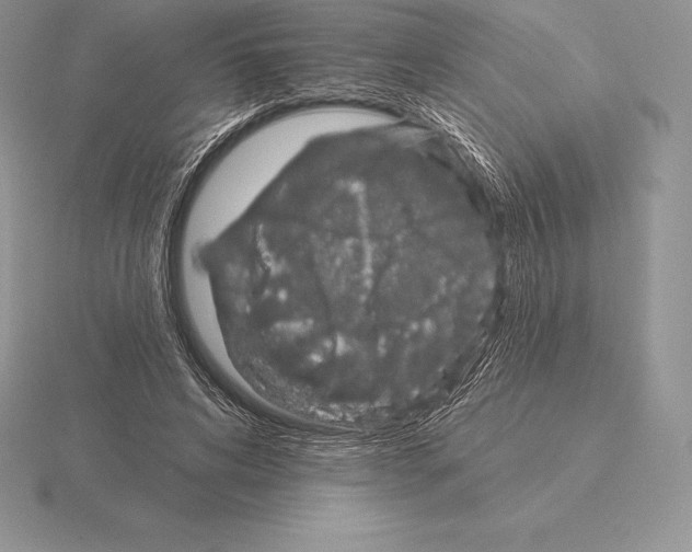 X0000115160592200912081410