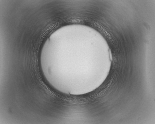 X0000115160593200912081410