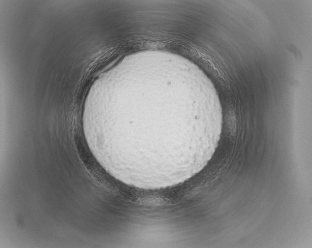 X0000115160594200912081410