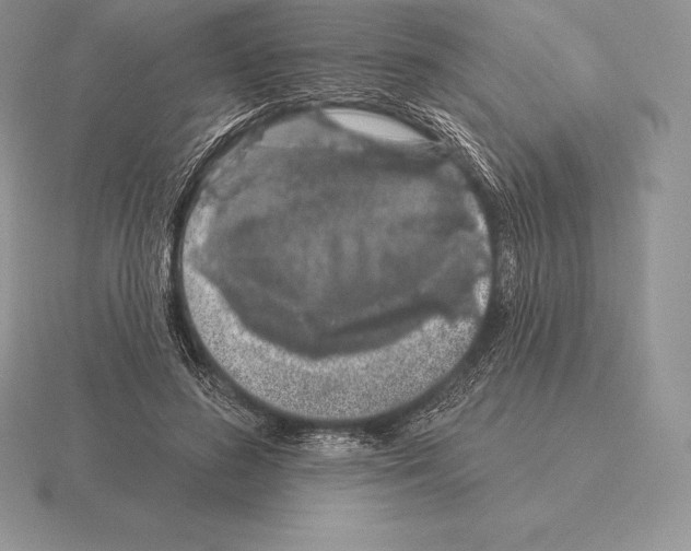 X0000115160596200912081410