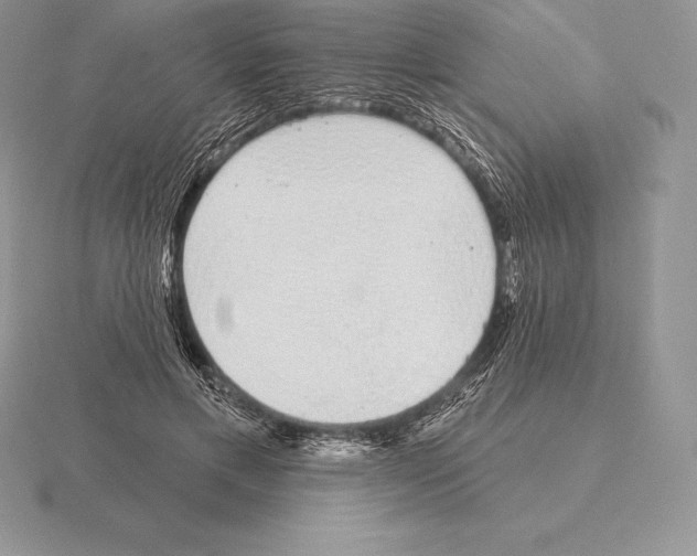 X0000115160597200912081410