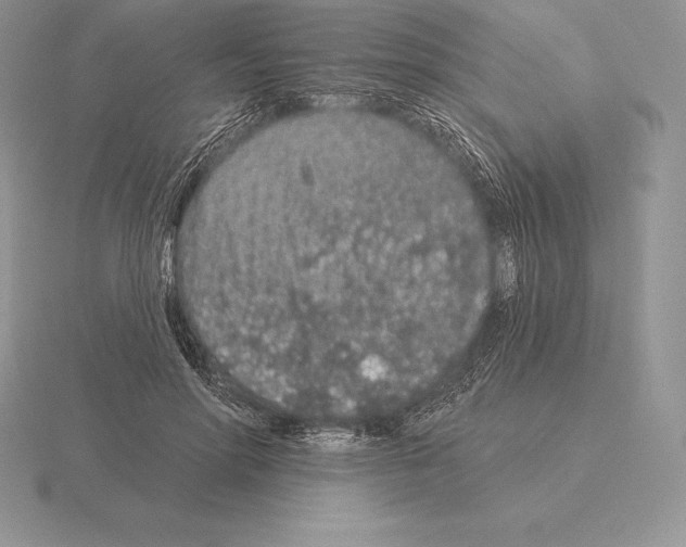 X0000115160598200912081410