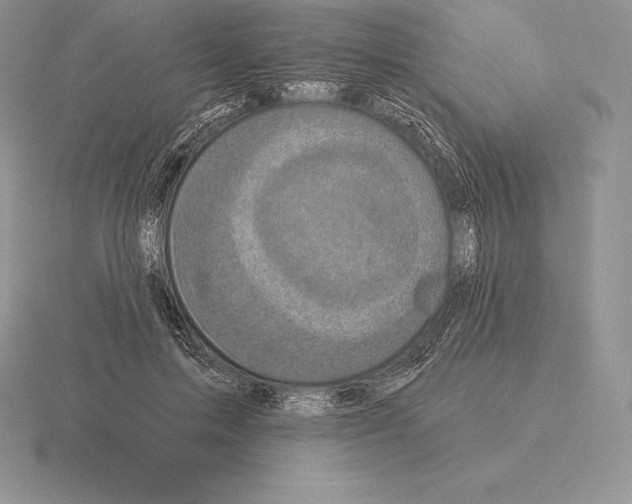 X0000115160599200912081410