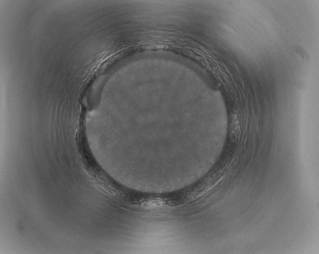 X0000115160600200912081410