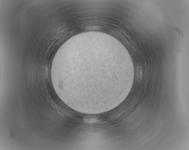 X0000115160602200912081410