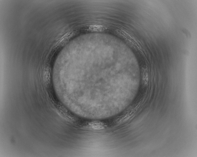 X0000115160603200912081410