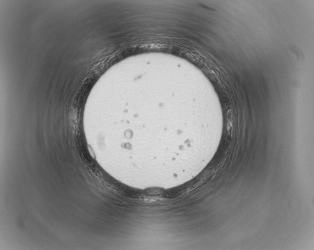 X0000115160605200912081410