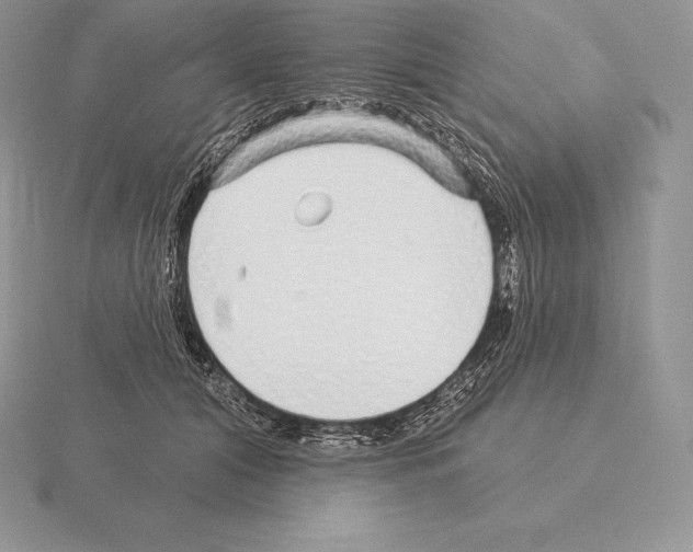 X0000115160608200912081410