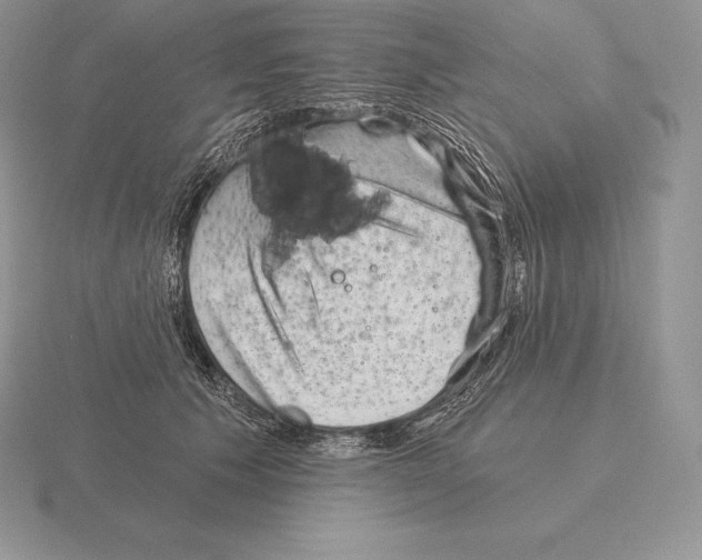 X0000115160609200912081410