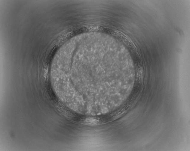 X0000115160610200912081410