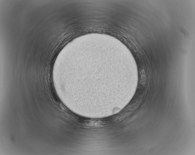 X0000115160612200912081410