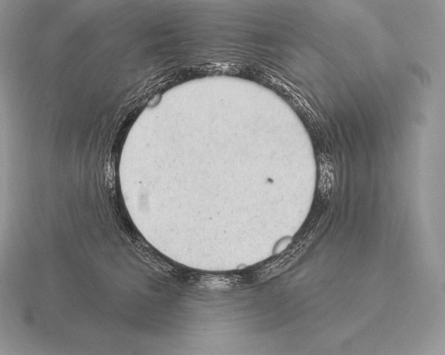 X0000115160613200912081409