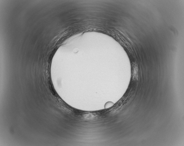 X0000115160616200912081409