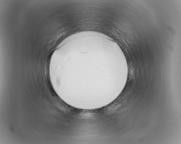 X0000115160620200912081409