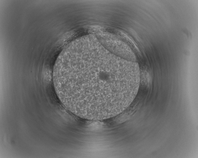 X0000115160621200912081409