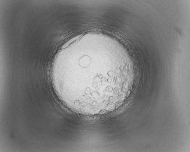 X0000115160624200912081409