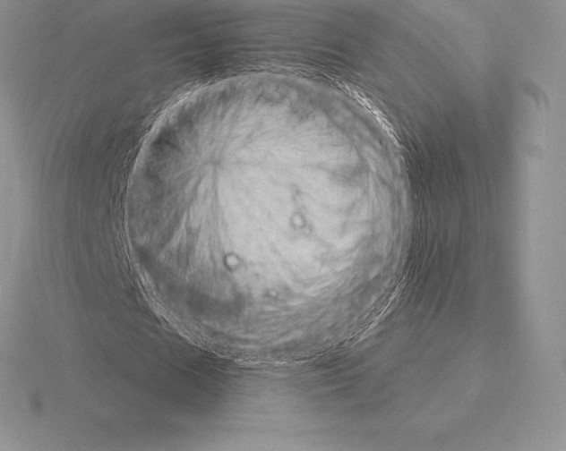 X0000115160625200912081409