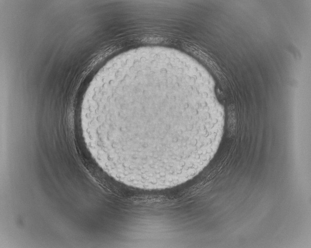 X0000115160626200912081409