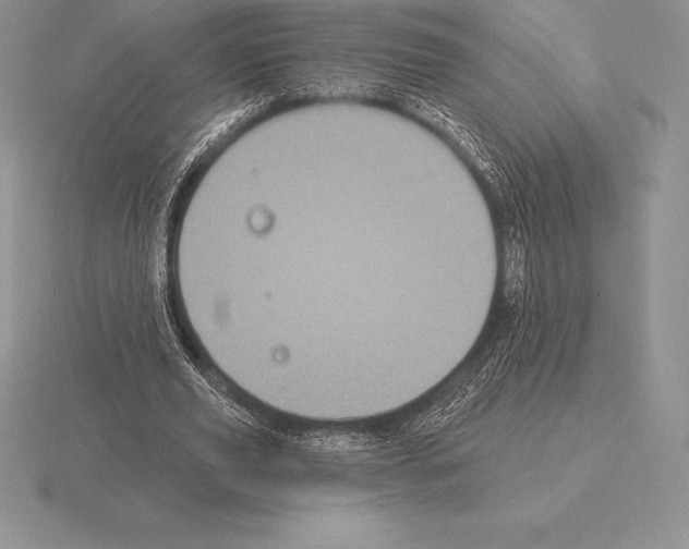 X0000115160629200912081409