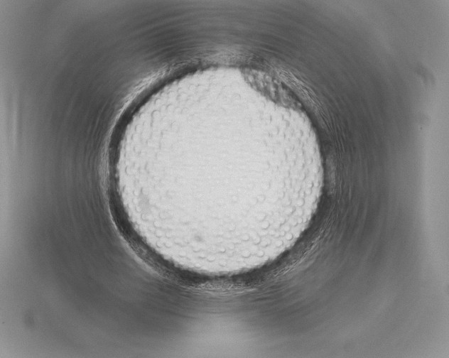 X0000115160630200912081409