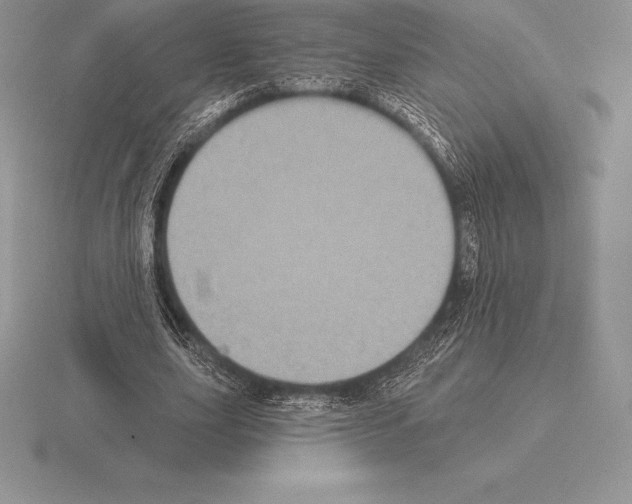 X0000115160631200912081409