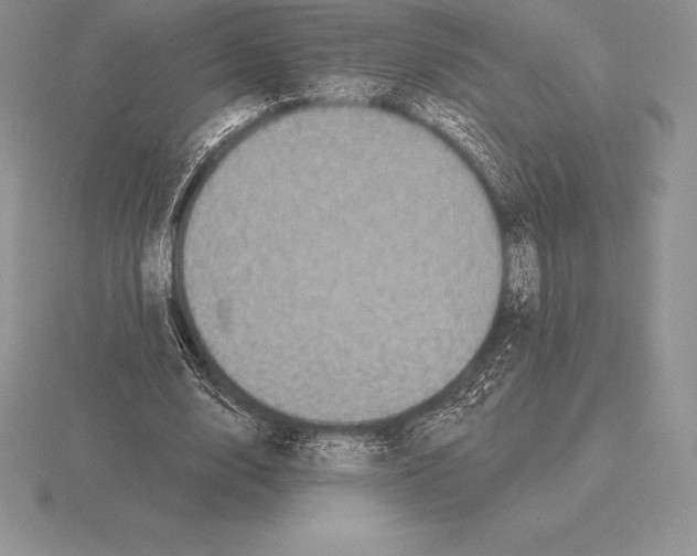 X0000115160632200912081409