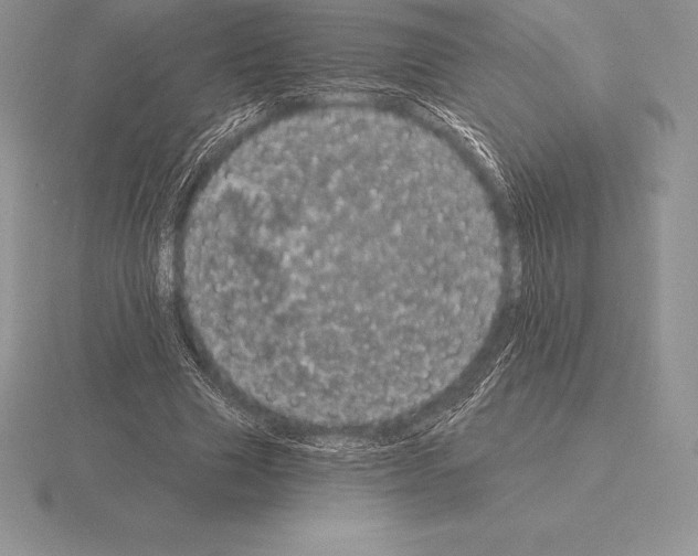 X0000115160633200912081409