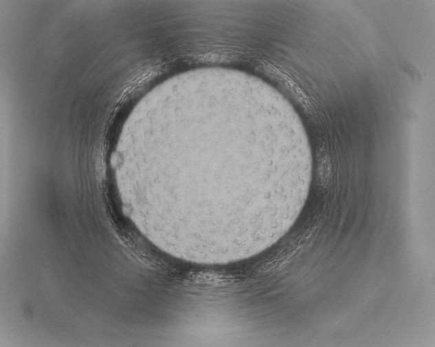 X0000115160635200912081409