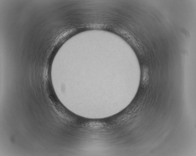 X0000115160636200912081409