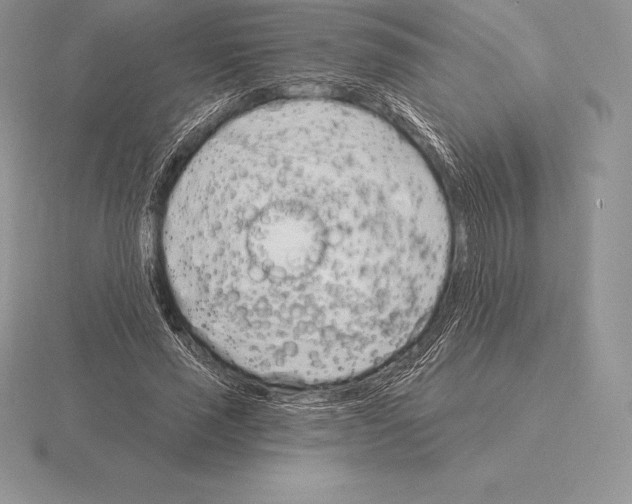 X0000115160637200912081409