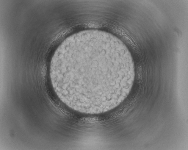 X0000115160639200912081409