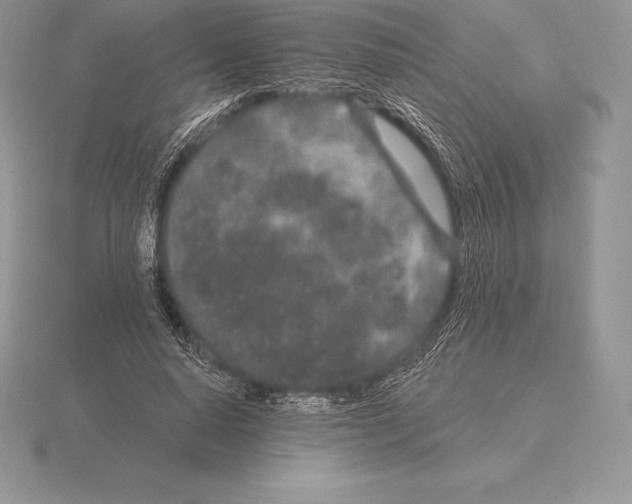 X0000115160640200912081409