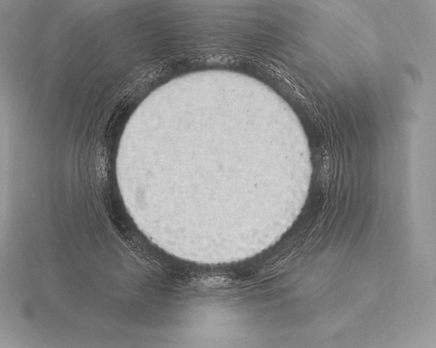 X0000115160643200912081409