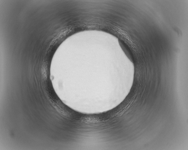 X0000115160644200912081409