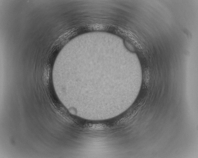 X0000115160645200912081409