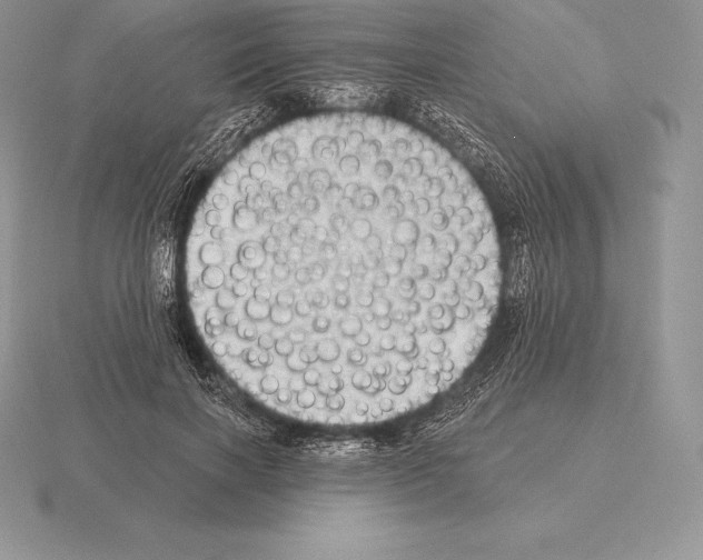 X0000115160646200912081409