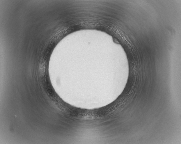 X0000115160647200912081409