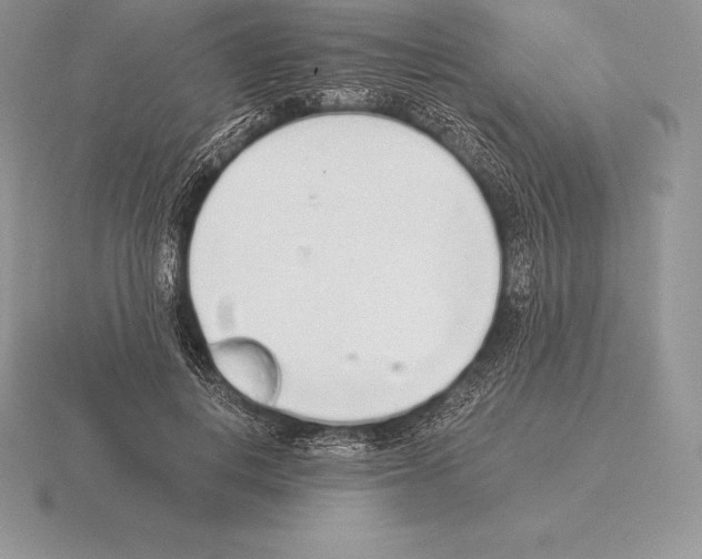 X0000115160648200912081409