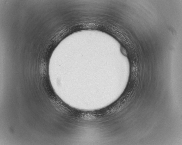 X0000115160649200912081409