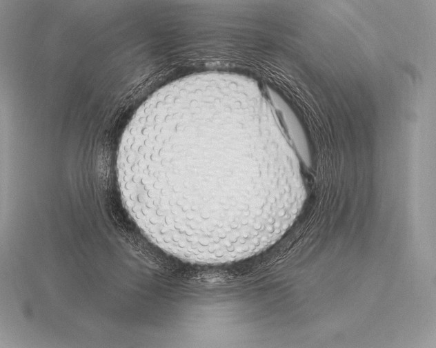 X0000115160650200912081409