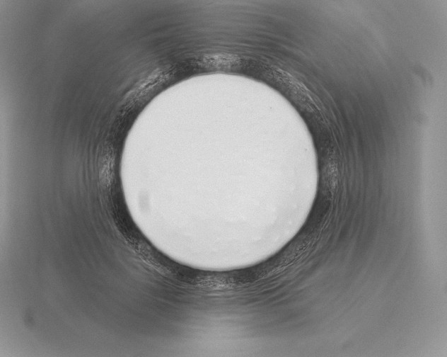 X0000115160652200912081409