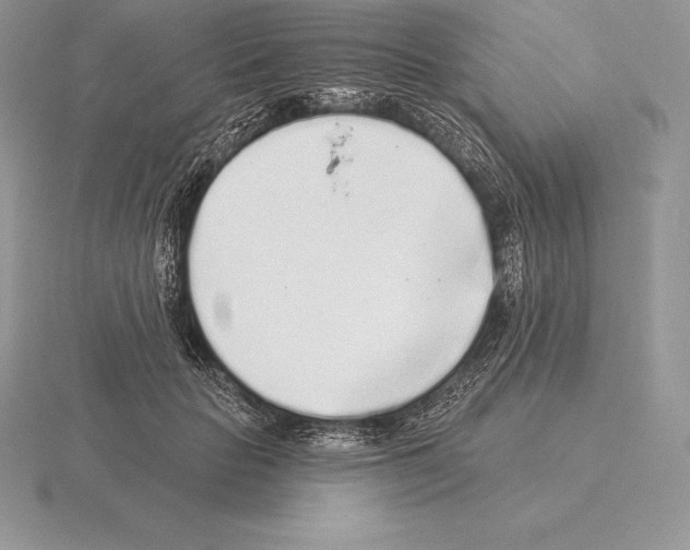 X0000115160653200912081409