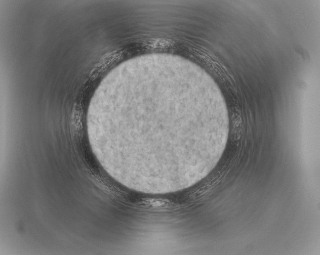 X0000115160654200912081409