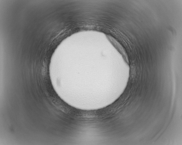 X0000115160656200912081409