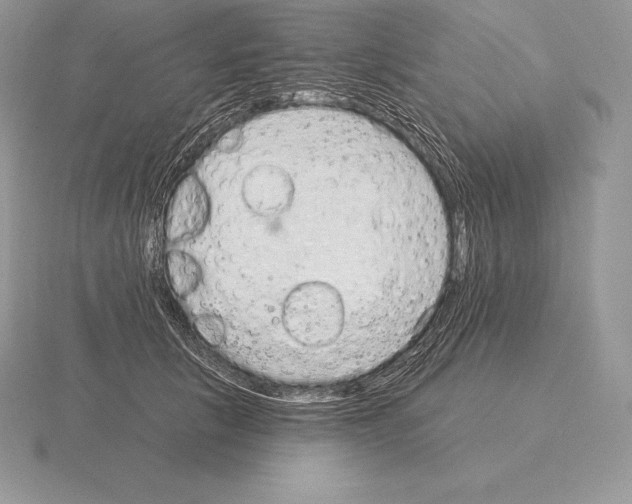 X0000115160657200912081409