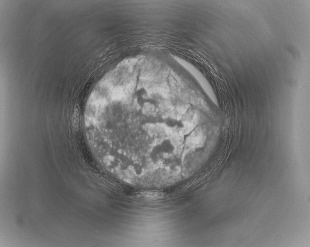 X0000115160659200912081409